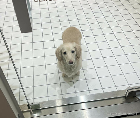 Siw0ns_ エロティックなモデル 写真