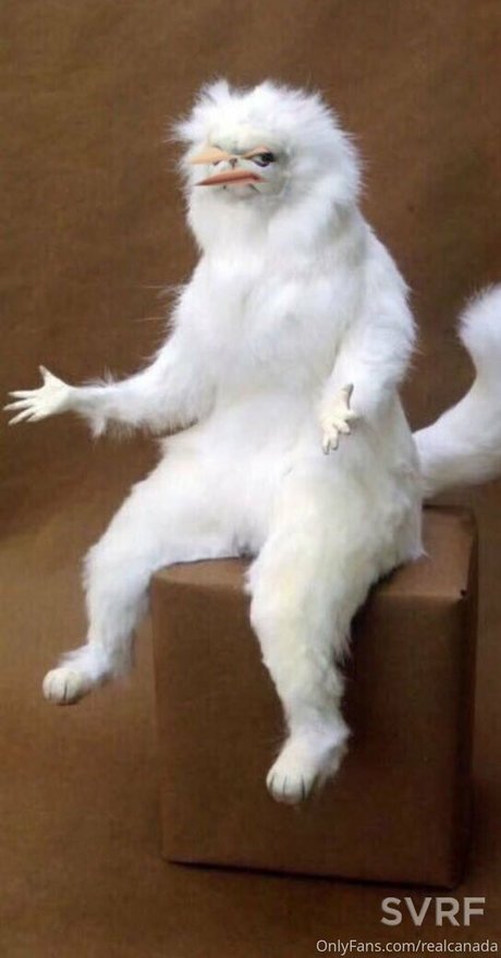 母乳オンリーファン 無料セックス 写真