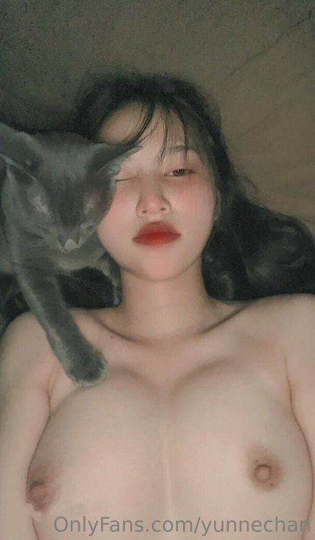 yunnechan アダルトスター 写真