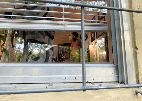 skullcandybri エロティックなスター ギャラリー