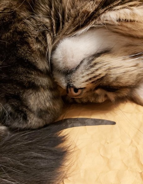 足ヌードオンリーファンズ アダルト 写真