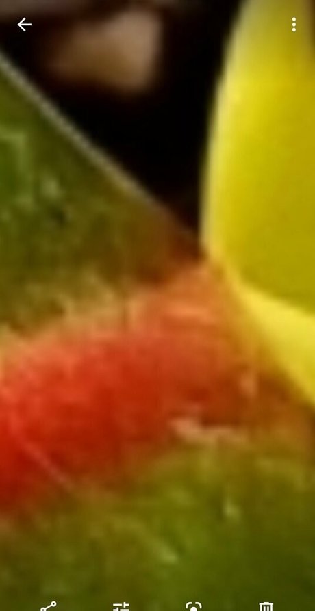 goddess of filth 美しいポルノスター アーカイブ