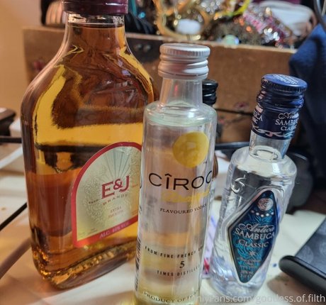 goddess of filth 美しいポルノスター 写真