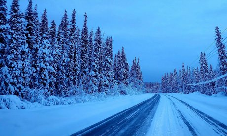 snow bunny907 最高の女優 画像