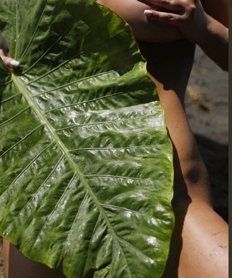 アンバー・オンリーファンズ 美しいヌード ギャラリー