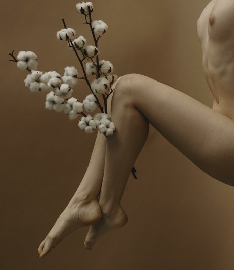 Anastasia Mihaylova セックスポルノスター ギャラリー