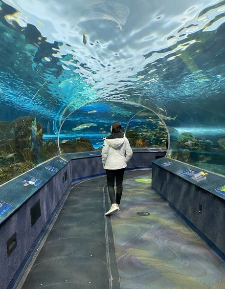 Wolfabelle トップポルノスター 写真