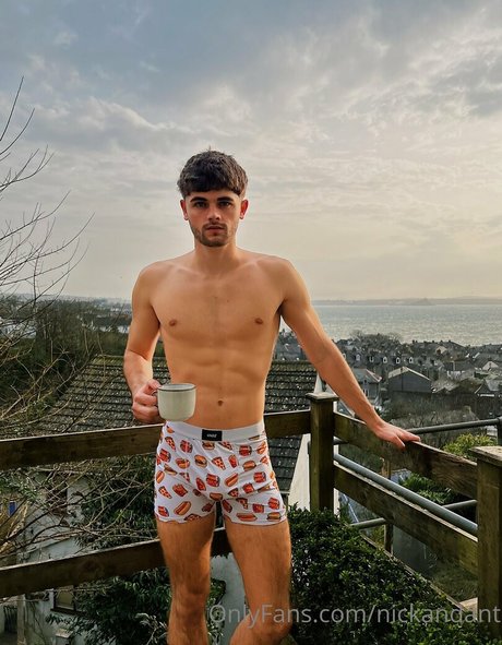 nickandant かわいいスター 画像