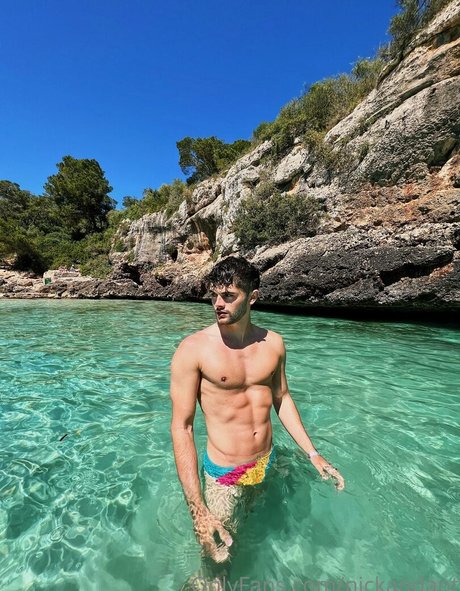 nickandant ホットスター 写真