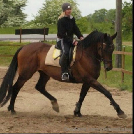 cindarellalou HDモデル 画像