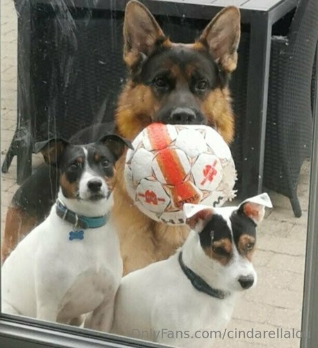 cindarellalou ポルノスター ホット 画像