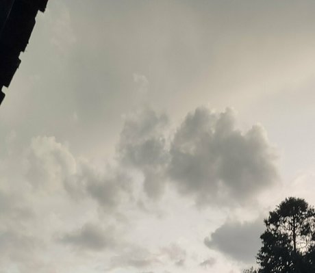 mayllie アート女優 写真