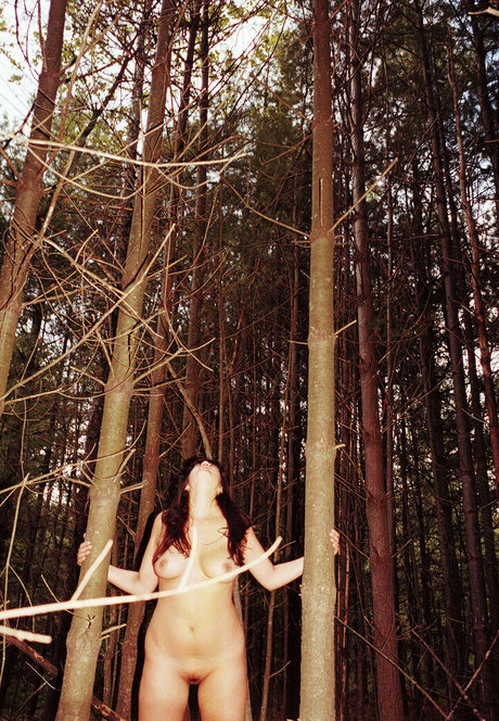 かわいいシーメールオンリーファンズ 美しい ギャラリー