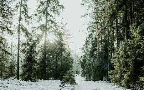 rumrtv 完璧なポルノスター 画像