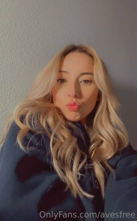 Avesfree HDモデル 画像