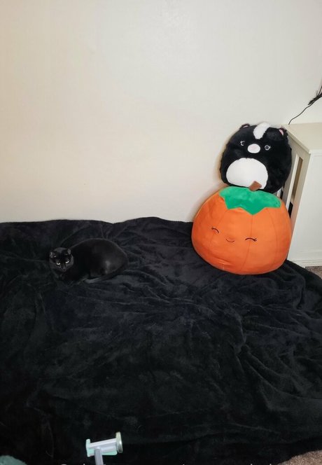 twopunksinlove ポルノスター パーフェクト 写真