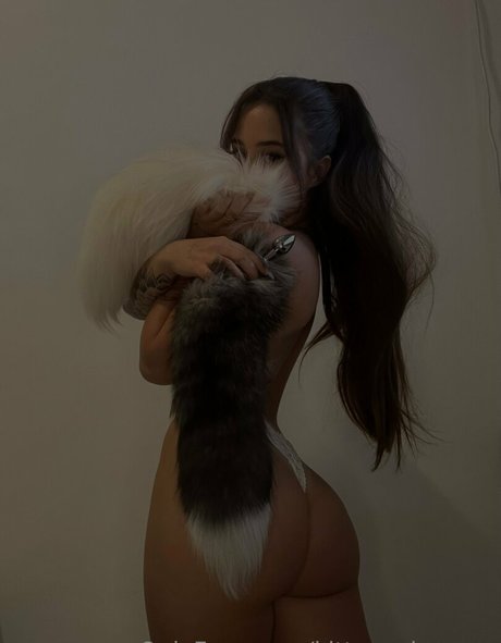 kitty and owner xxxスター 写真