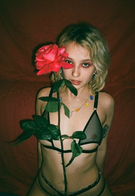 ブルネットのPOV OnlyFans ポルノ ギャラリー