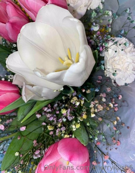 cherrykush6 ポルノスター セックス 画像