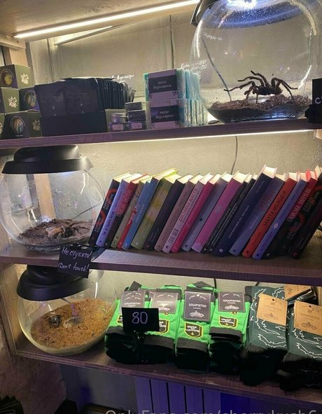 cherrykush6 独占モデル 写真