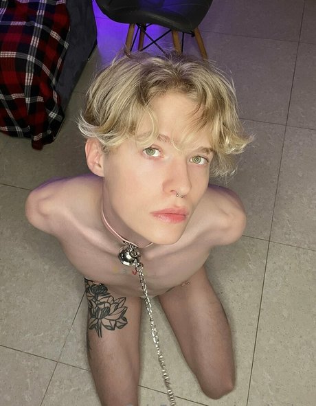 mark sinn 完璧なモデル アーカイブ