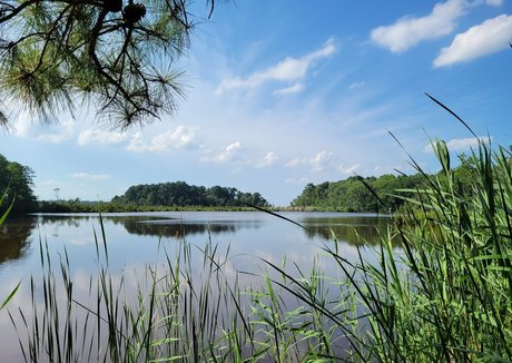 アジアンツインズOnlyFans 無料アダルト 画像