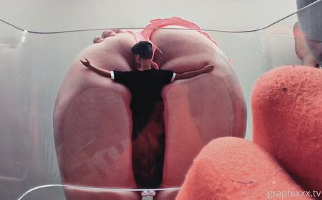 hollygraphix ポルノスター ベスト 写真