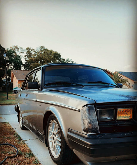 Alieninara 最高のスター 画像