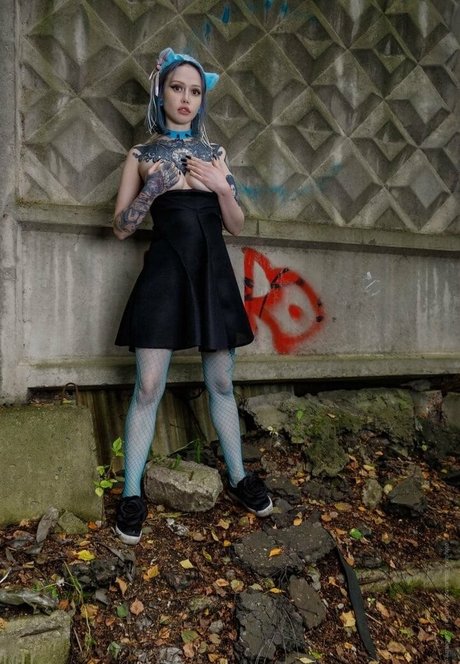 demonek0 最高のスター 写真