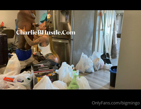 bigmingo 無料女優 ギャラリー