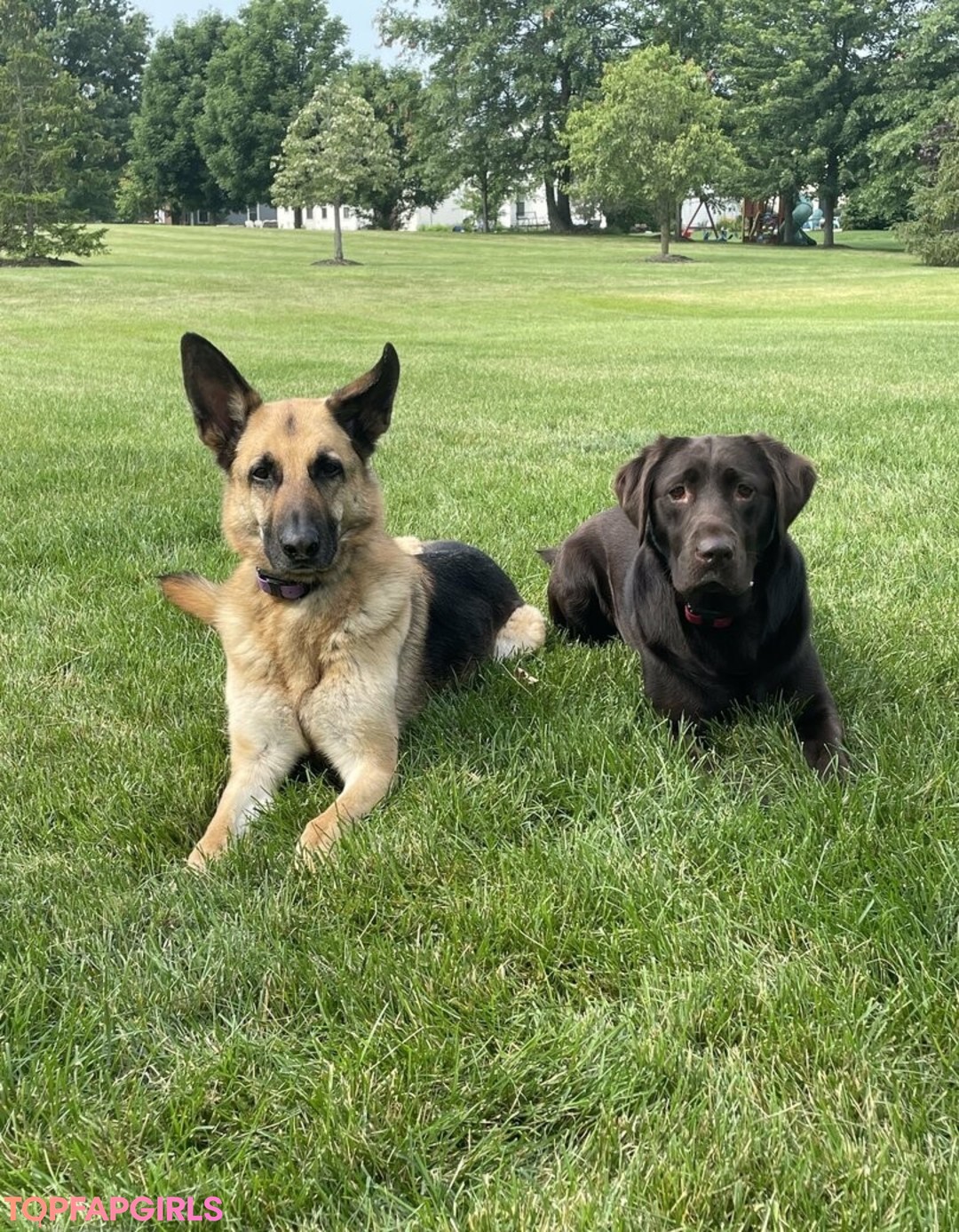 シックオンリーファン ホットヌード 写真