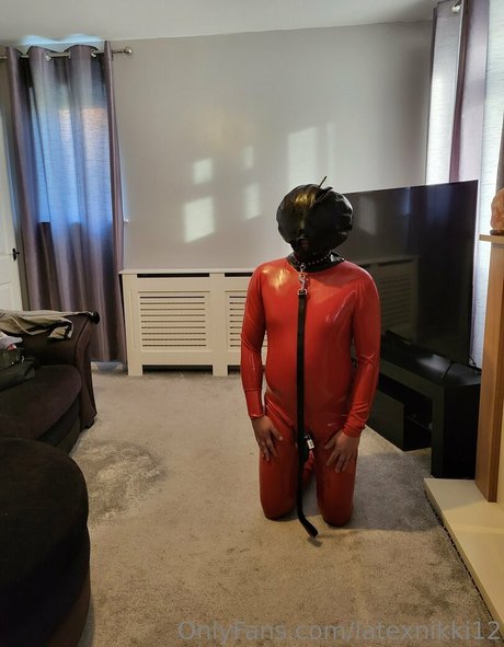 latexnikki12 Profilbild