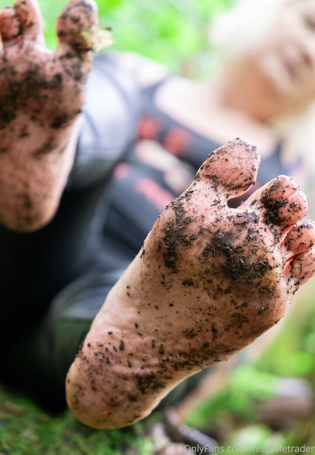 misssoletrader 高品質スター 画像