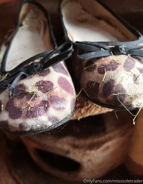 misssoletrader セックススター ギャラリー