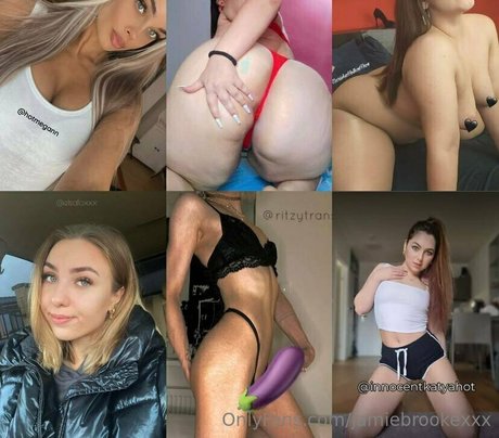 ブラジルの猫オンリーファンズ 美しいxxx 写真