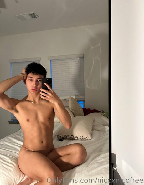 nicoxnicofree 完璧なスター 画像