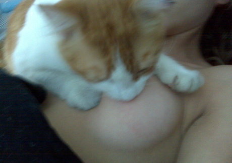 AnnaLynne McCord 最高のポルノスター 画像