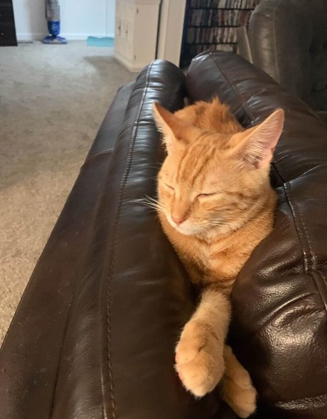 アジア人のティーンの足 オンリーファンズ ポルノ 写真