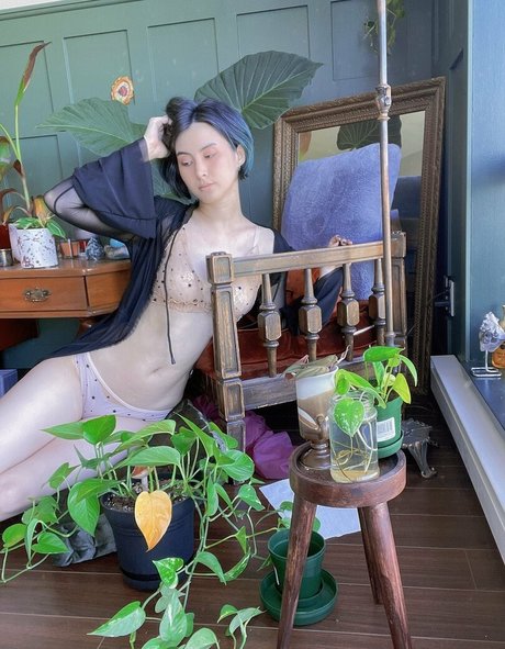 Sinastri 独占モデル 写真