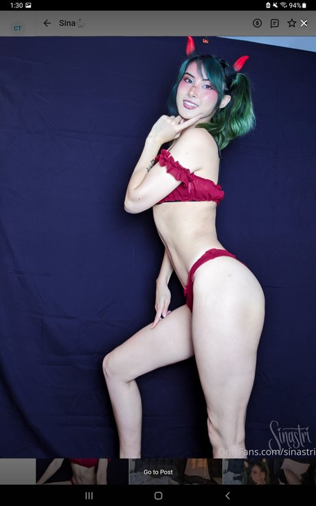 Sinastri アートスター 写真