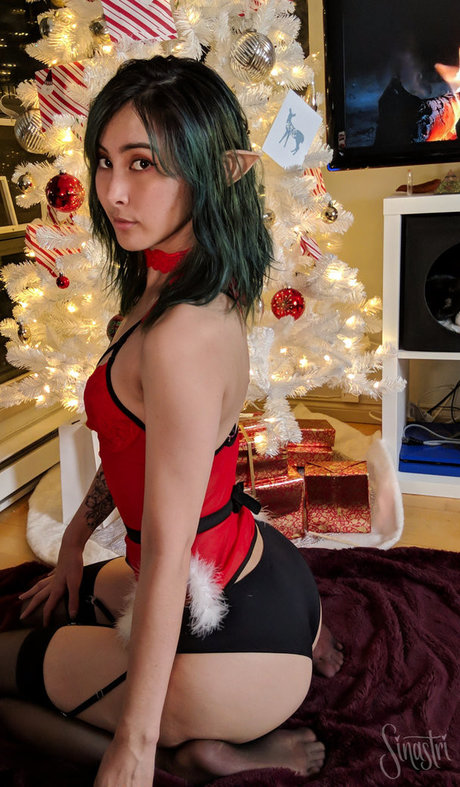 Sinastri HDモデル 写真