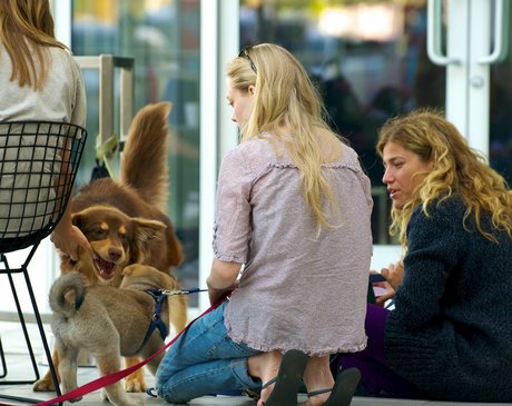 アジア人 BBC オンリーファンズ ホットポルノ 画像