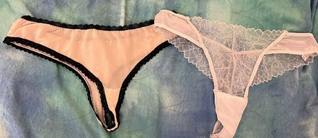 bella serenity HDスター 写真