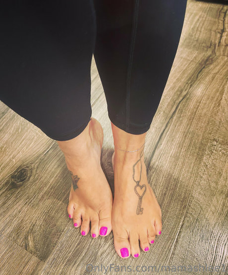 mamashlee1 アダルトスター ギャラリー