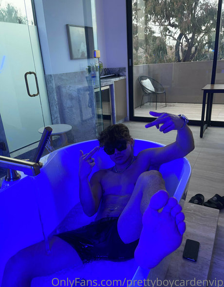 aedanvip xxxポルノスター ギャラリー