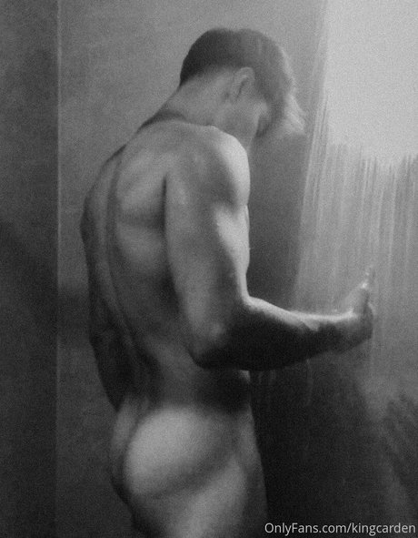 aedanvip 完璧なモデル 画像