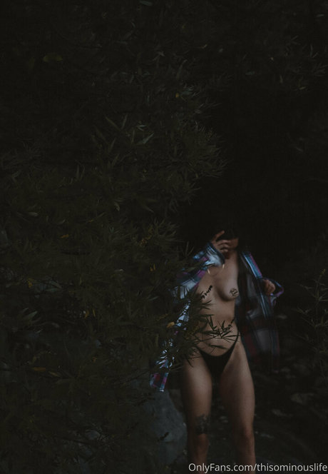 thisominouslife かわいいスター 写真