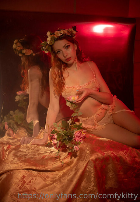 MeiKitty 完璧なスター ギャラリー