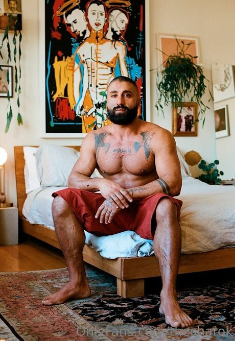 thesharok トップスター 画像