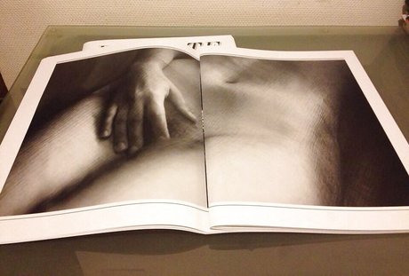 Golshifteh Farahani ポルノスター パーフェクト 写真